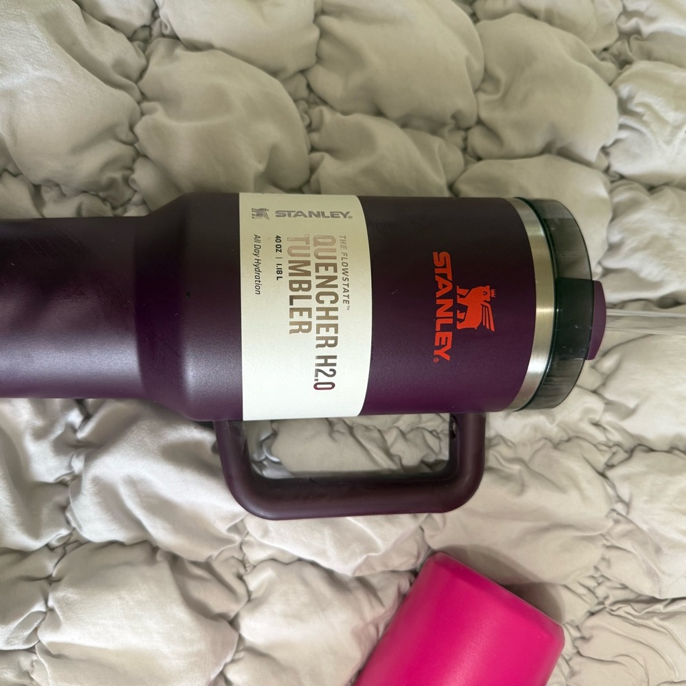 Stanley Quencher H2.0 Tumbler in Plum